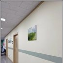 SD 메디칼 네이버블로그