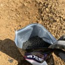 광개토농장 | 주말농장 유기농 비료 슈퍼광개토 사용 후기 생산량 증가 기대