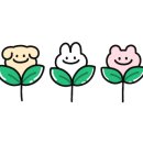 카매니아 모터스 이미지