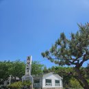 옥산정 | 부산 기장 장안 한정식 맛집 좌천역 쭈꾸미 맛집: 옥산정