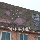 청산도느림보마을 이미지