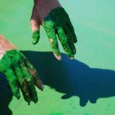 금강페인트 이미지