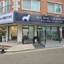 올 도그 그루밍(All DOG GROOMING) 이미지
