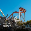 게임매니아 PC방 | 경주월드 자유이용권 무서운 놀이기구 드라켄 운행 놀이공원 할인