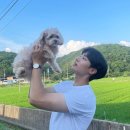 (유)평화항공여행사 이미지
