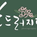 흐드러지다 스튜디오
