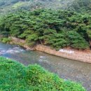 좋은아침팬션 이미지