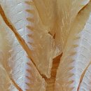 선장경로당 이미지