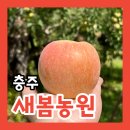 새봄농장 | [충주] 수안보 “새봄농원”에서 사과따기 체험후기! 체험비무료 1kg 6,000원