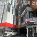 부산강아지분양 드림독 안심분양센터 부산점 이미지