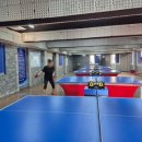 일탁탁구클럽 이미지