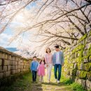 [옥정서부]우리 아이 성교육 어떻게 지도할까? (초등 자녀를 둔 부모) | [주말 나들이] 키즈카페 대신 여기! 단돈 0원으로 아이 체력 방전시키는 서울 근교 무료 체험 '남한산성...