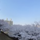 신석체육관 이미지