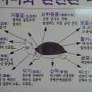 산성정 이미지