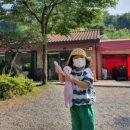 안태울캠핑장 이미지