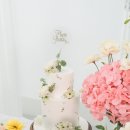 파티앤컴퍼니