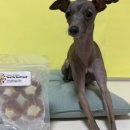 똘멍이네 이미지