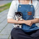 루이펫샵 이미지