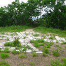 소사목장 이미지