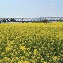 생림면행정복지센터 이미지