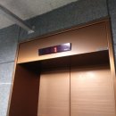 과천대로12길 이미지