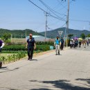 (전남신안) 자은도(두봉산) / 퍼플섬 트레킹 01 이미지