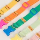 도기냐미 이미지