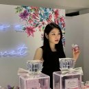 멍드레스