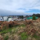 서홍동-2 이미지