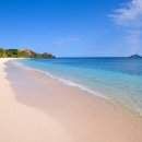 파라다이스 이미지