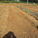 주산농장 이미지