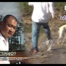 레스트펫 이미지