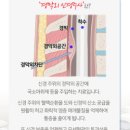 머리가 멍해요 멍청해요 맑지않고 멍해요