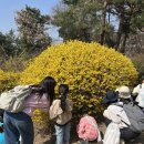 성신사 | [교육 후기] <박물관 옆 역사 문화 탐방 - 3월 숲🌳탐방길>