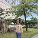서울나들이_ 광화문 연세대 신촌캠퍼스 담쟁이넝쿨 직관후기