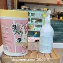 츄츄애견 이미지