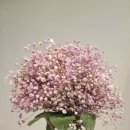 자세히 보아야 예쁘다 이미지