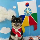 멍멍이샵
