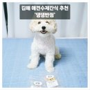 댕댕반점 이미지