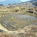 강청리농장 이미지