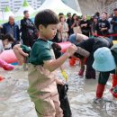 꼬막꼬막 이미지