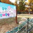 늘솔길근린공원 이미지