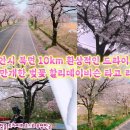 2024ㆍ4ㆍ10 할리데이비슨 # 천안 북면 10km 드라이브코스로 유명# 만개한 벚꽃 라이딩 투어 이미지