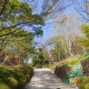 황령산레포츠공원(생태공원) 이미지