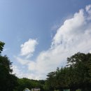 삼양택시 이미지