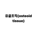 유골조직(osteoid tissue)이란 무엇일까요? 뼈 건강의 핵심 이해하기 이미지