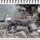 멍멍아 까꿍 이미지