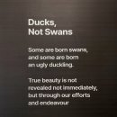 상주낚시通편의점 | 여행ㅣ거제도 호텔 '한화리조트 거제 벨버디어' 스위트 호텔형 오션뷰(거가대교 뷰) 어메니티, 이용 후기