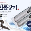 민물장어