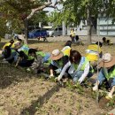 초전공원 이미지